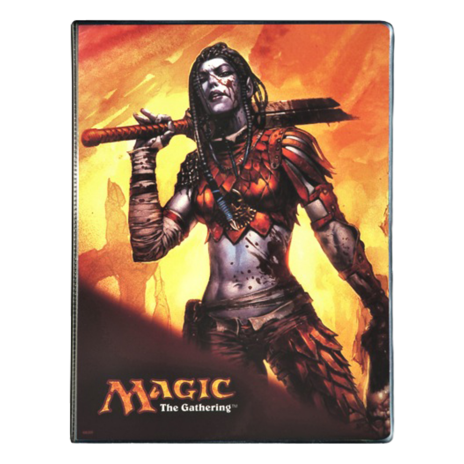 Portfolio 9 Tasche 10 Pagine Planar Chaos Radha (EN)