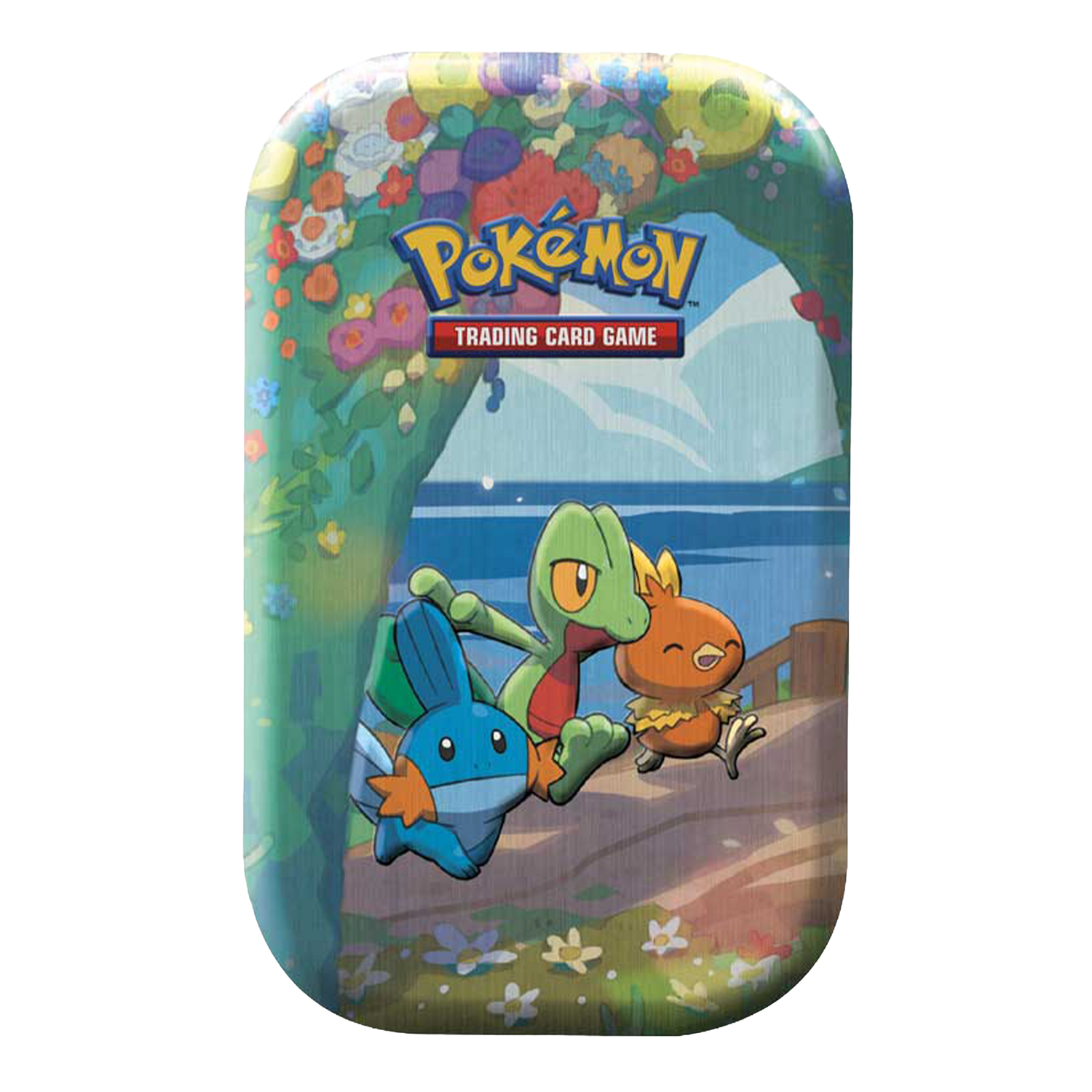 Spada e Scudo Gran Festa CEL Mini Tin da Collezione Hoenn Starter: Treecko, Torchic e Mudkip (IT)